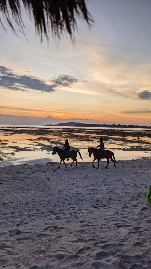 Balade en cheval sur la plage